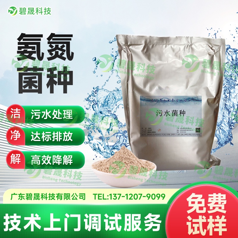 氨氮菌種