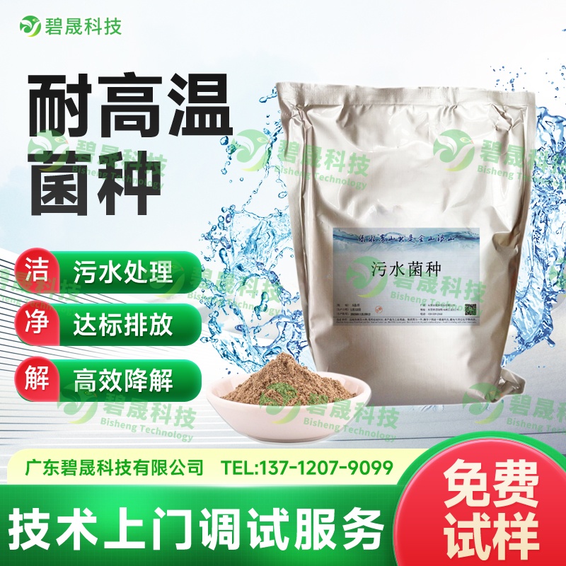耐高溫菌種