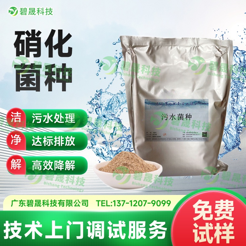 硝化菌種