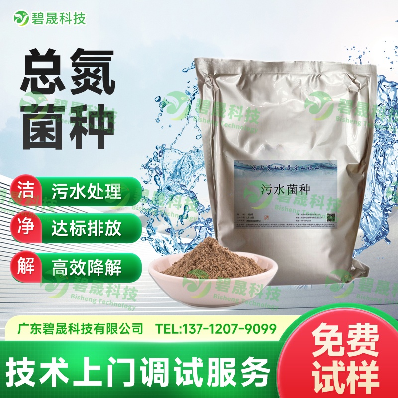 總氮菌種