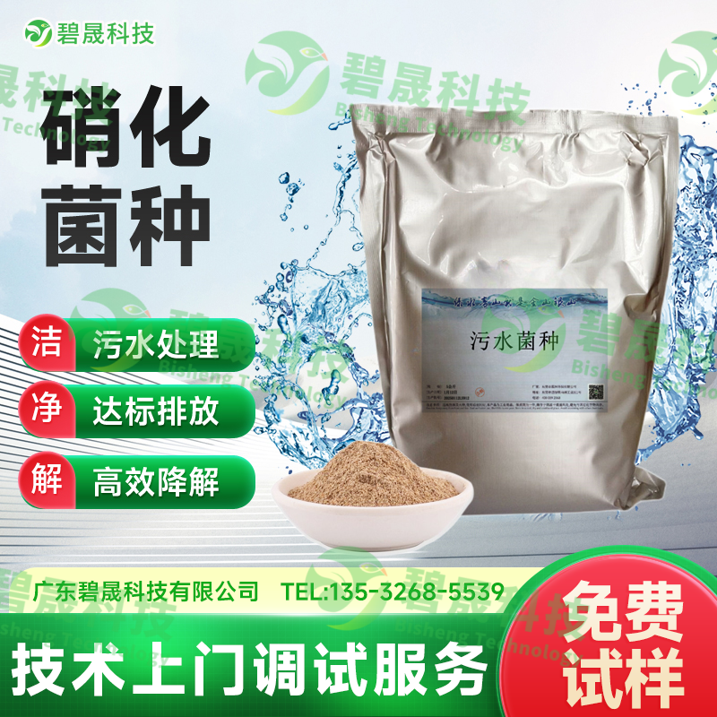 硝化菌種