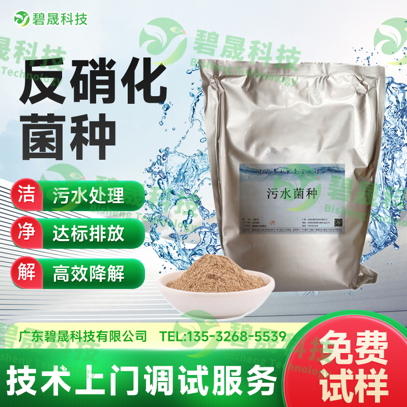 反硝化菌種